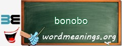 WordMeaning blackboard for bonobo